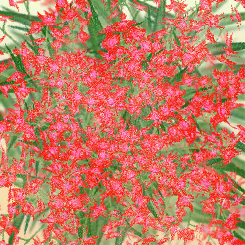 Item #308000167 Media