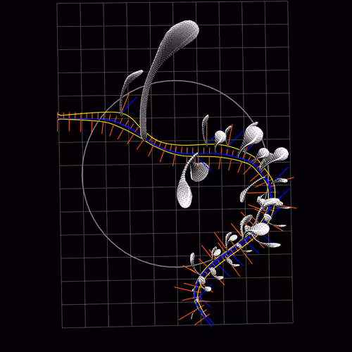 Item #160000155 Media