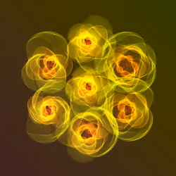 Flowers #2169
