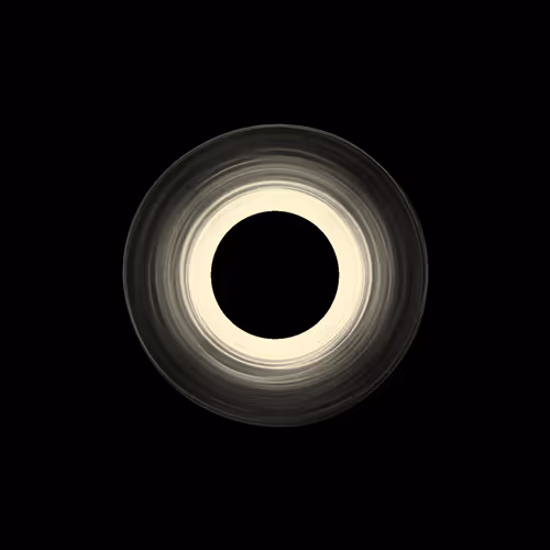 Singularity #219