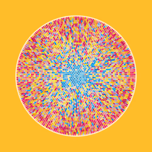 Transitions By Jason Ting X Matt Bilfield