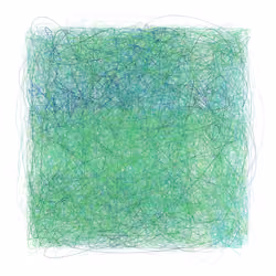 Scribbled Boundaries #877