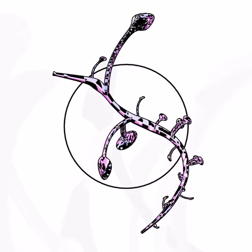 Item #160000656 Media