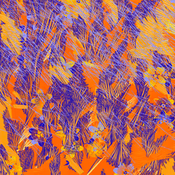 Fragments of an Infinite Field #662