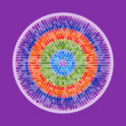 Transitions #1291