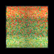 117002681