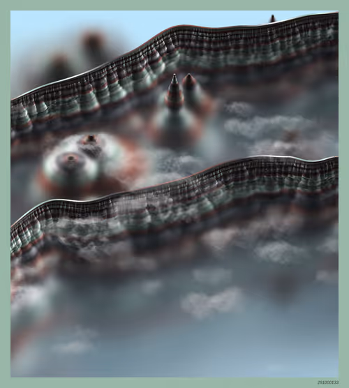 Item #291000133 Media