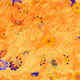 159000775