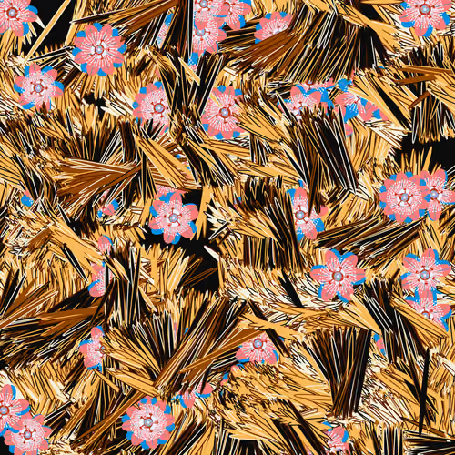Fragments of an Infinite Field #358