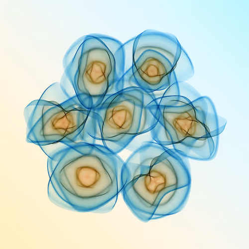 Flowers #4645