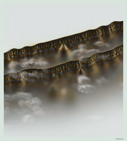 Item #291000323 Media