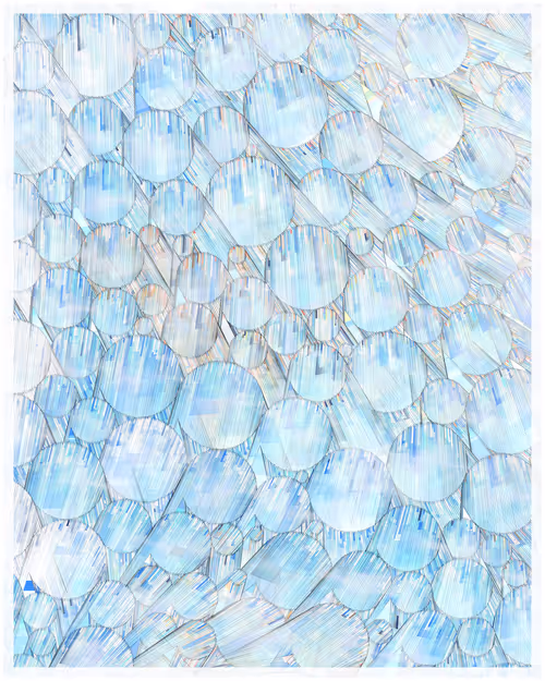 Item #344000296 Media