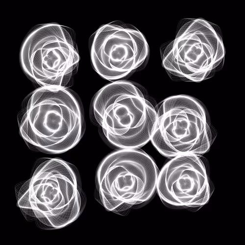 Flowers #5470