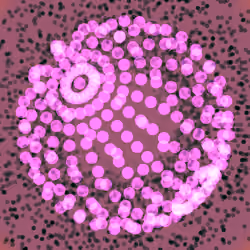 Cosmic Reef #791
