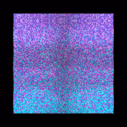 Transitions #389