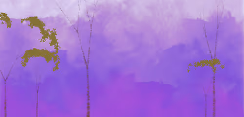 Item #254000078 Media