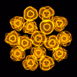 Flowers #2144