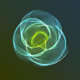 116003009