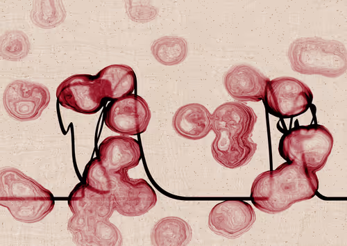 Item #328000257 Media