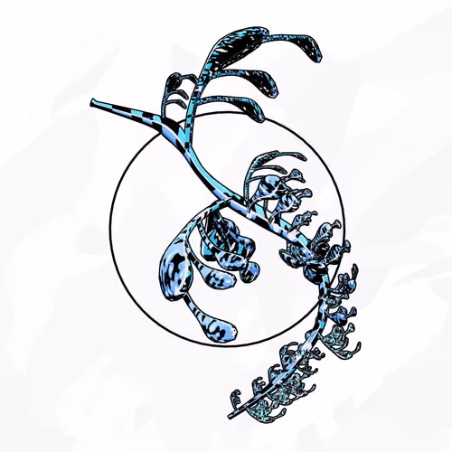 Seadragons #282