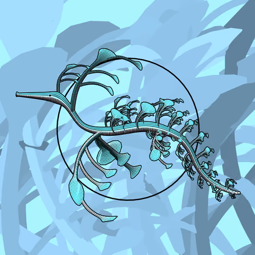 Seadragons #829