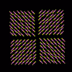 mono no aware #307