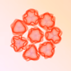 Flowers #2146
