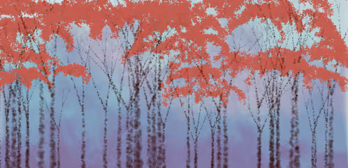 Item #254000015 Media