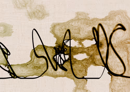 Item #328000337 Media