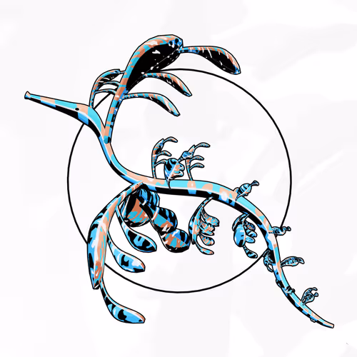 Seadragons #670