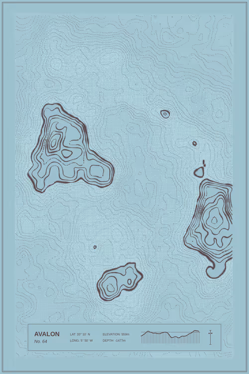 Item #347000064 Media