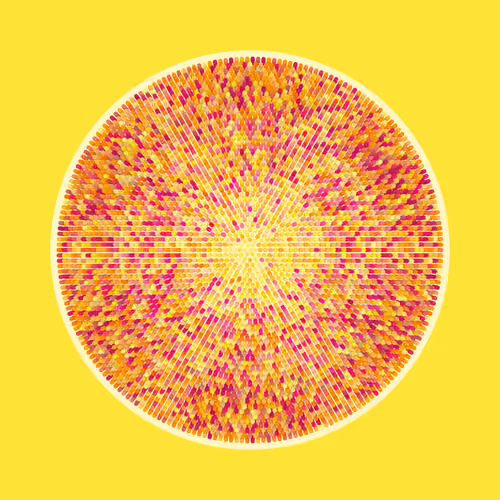 Transitions #4691