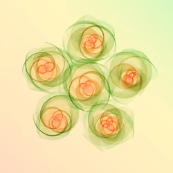 Flowers #5629