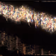 232000578