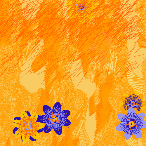Fragments of an Infinite Field #478