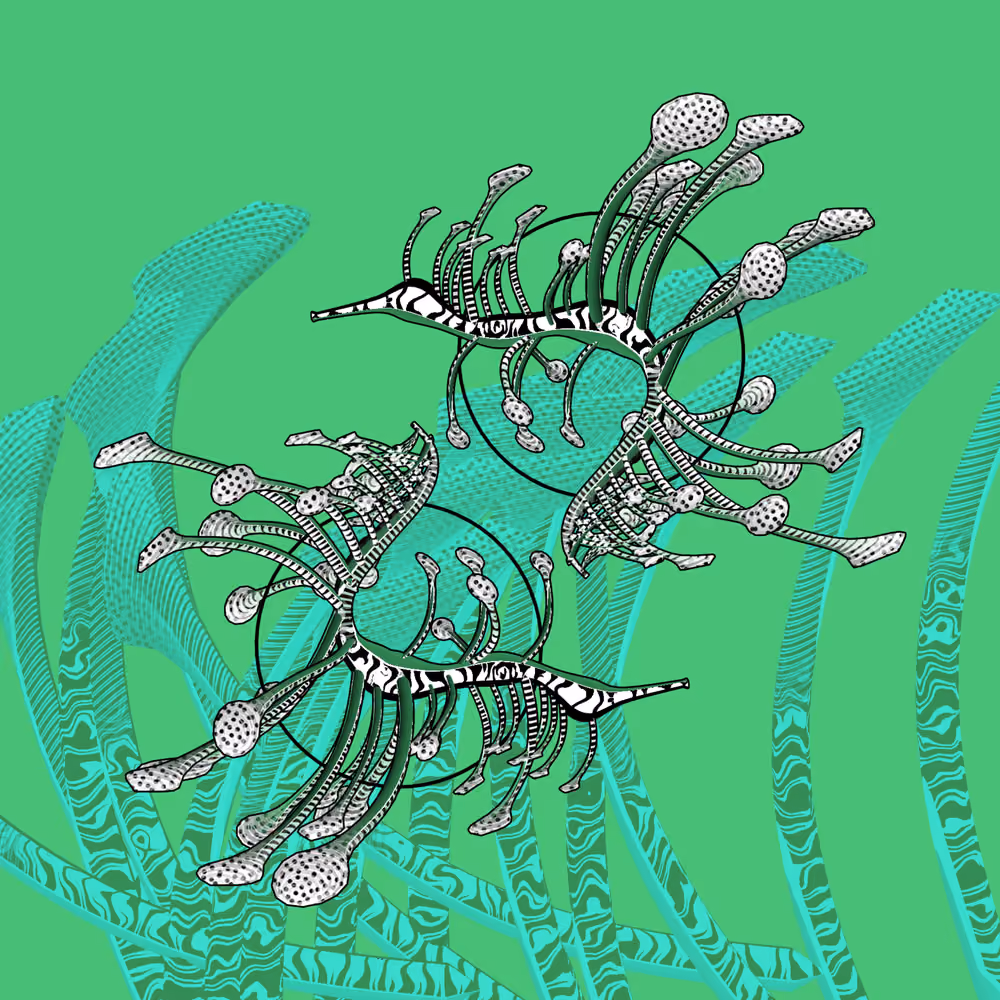 Seadragons #950