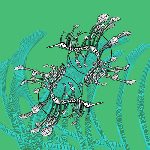 Seadragons #950