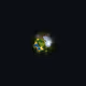 31000117