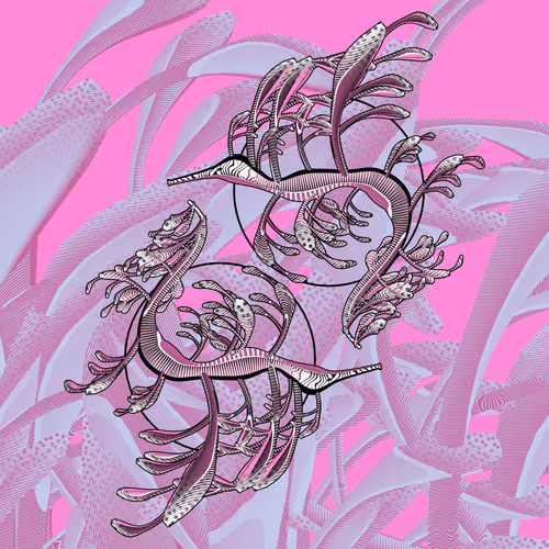 Seadragons #741