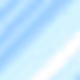 24000019