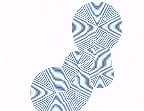 Item #335000103 Media