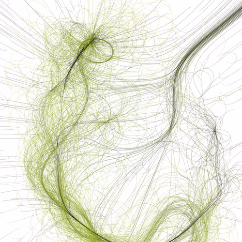 Item #164000550 Media