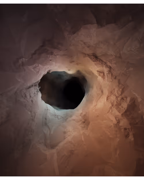 Item #217000350 Media