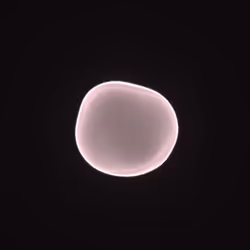 Bubble Blobby #499