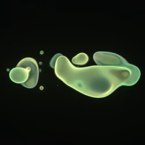 Bubble Blobby #462