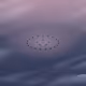 124000581