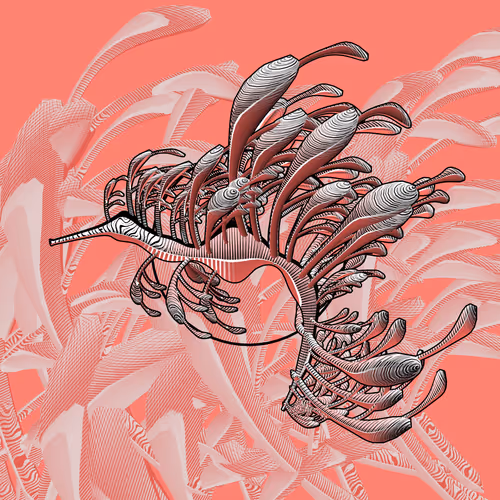 Seadragons By Marcin Ignac
