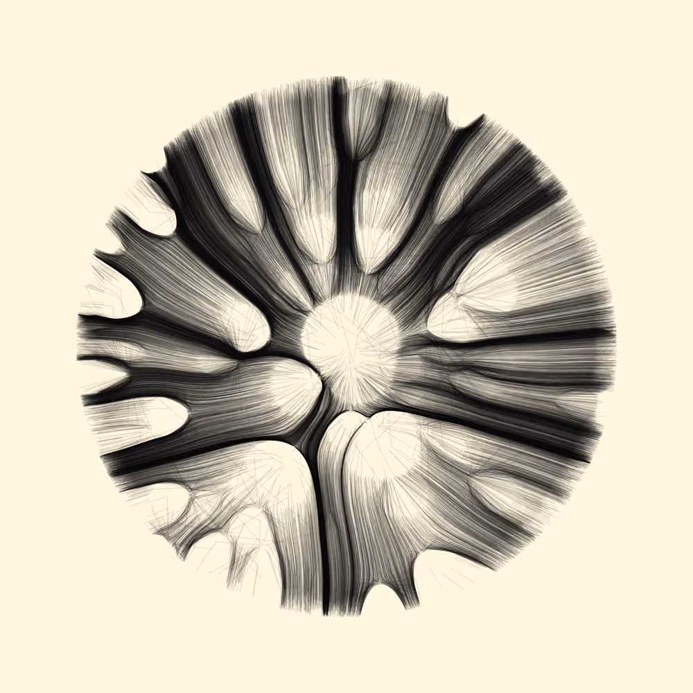 Gravity 12 #478