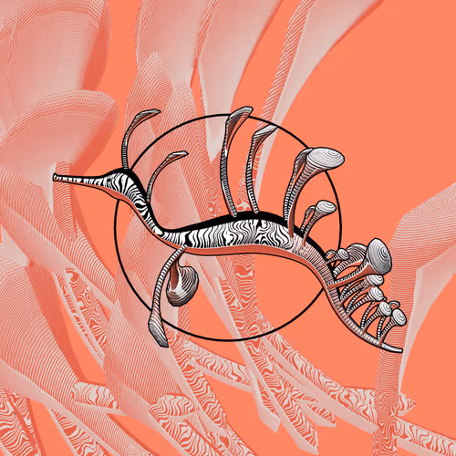 Item #160000241 Media