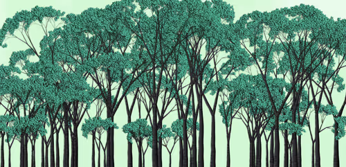 Item #254000089 Media